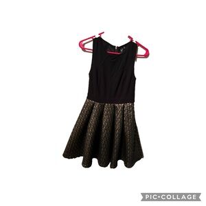 Windsor Small Black gold skater dress